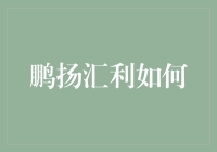 深入浅出看鹏扬汇利：如何让你的钱票子稳稳当当地跳舞