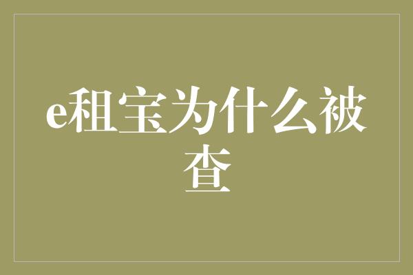 e租宝为什么被查