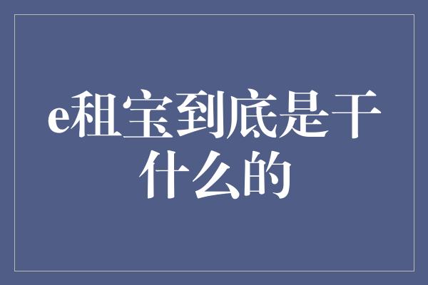 e租宝到底是干什么的