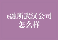 探索e融所武汉公司的运营特色与前景展望