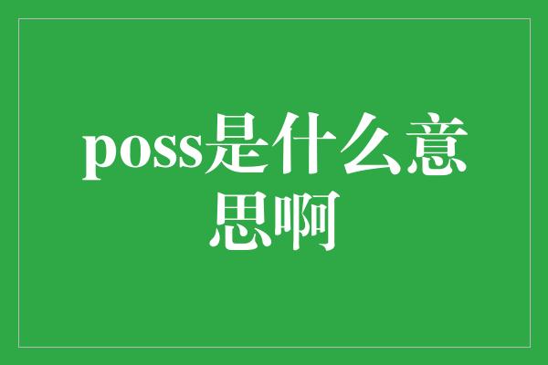 poss是什么意思啊