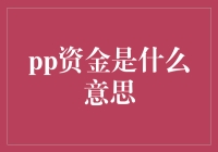 PP资金：创新支付方式的深度解析