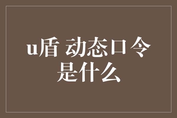 u盾 动态口令是什么