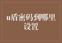 如何安全设置U盾密码？——一份全面指南