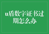 U盾数字证书过期？别慌！这里有救星！