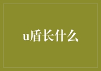 U盾：网络安全的守护神与实体世界的缩影