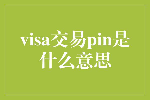 visa交易pin是什么意思