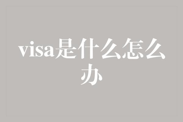 visa是什么怎么办